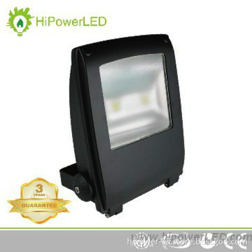 IP65 10W LED Flood light,Bridgelux COB